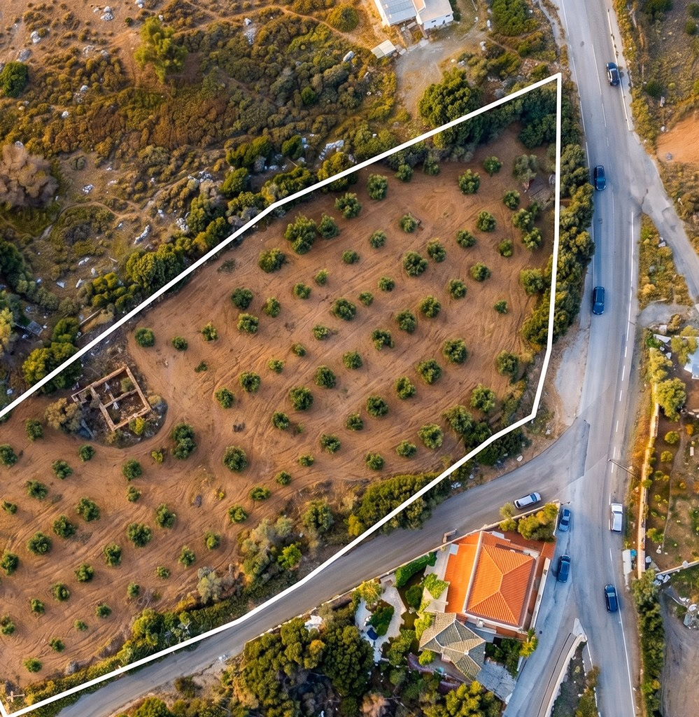 Acheter un terrain à Tanger — vue aérienne drone d'une parcelle délimitée par bornes de géomètre, oliviers, accès route et villa voisine, projet foncier accompagné par l'agence Conciera à Aouama, Mediouna, Cap Spartel et Route de Tetouan
